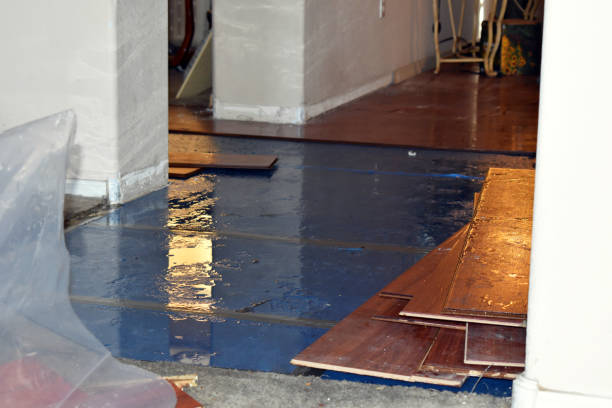Professional Water Damage Repair technician working in Moxahala, OH